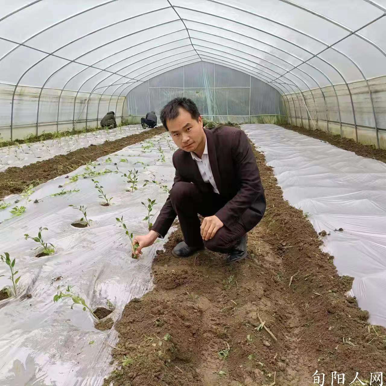 人生之爱                                 
