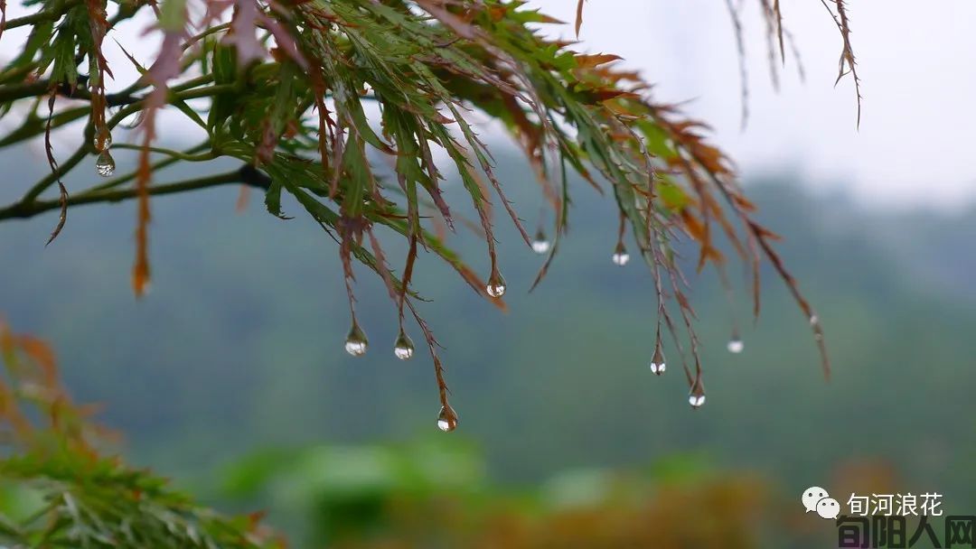 那年秋雨，那个山村     文/赵攀强
