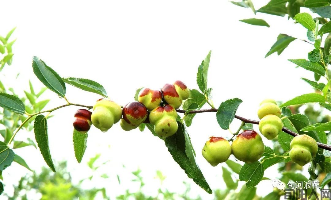 那年秋雨,那个山村     文/赵攀强(图4) 图片