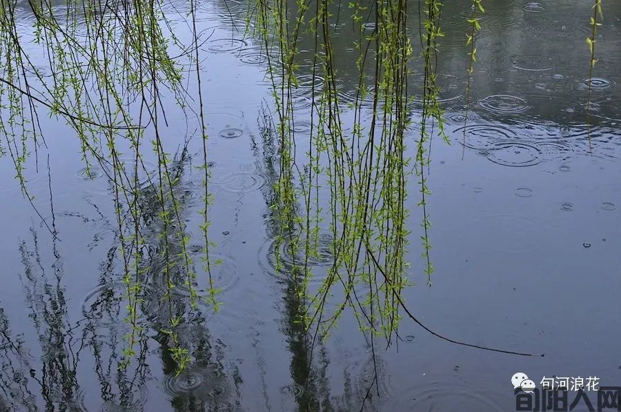 春天的身影   文/赵攀强(图4) 图片