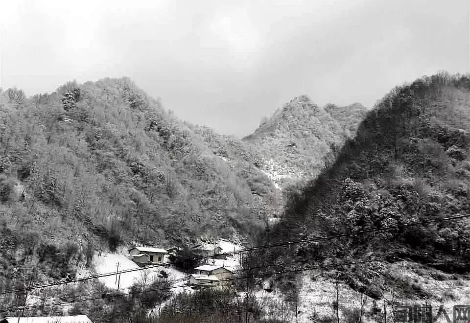 雪落花园岭   文/柯荣