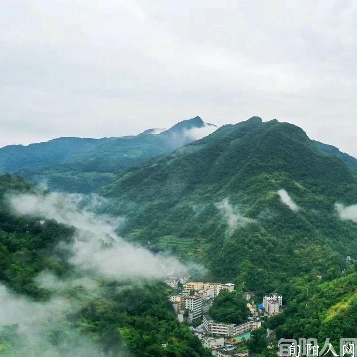 家乡的拐枣