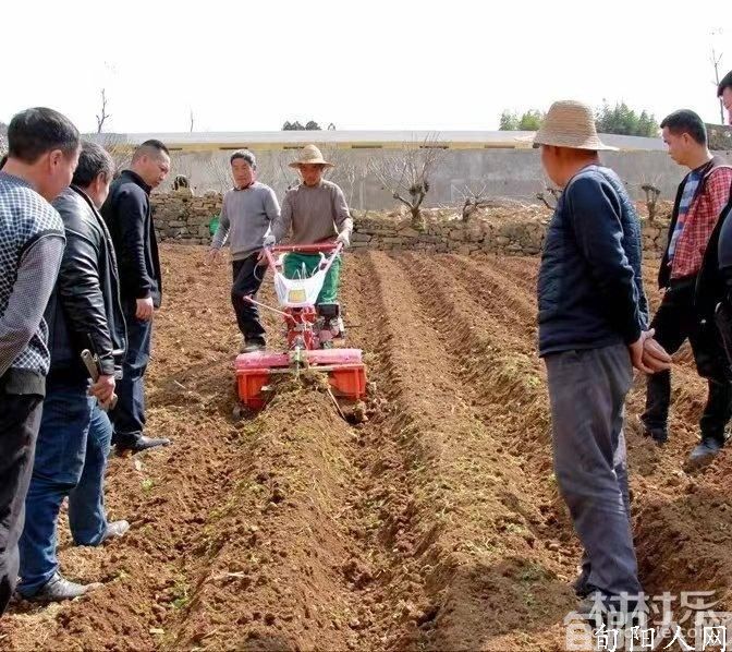农民的一片土地   文/杨进编