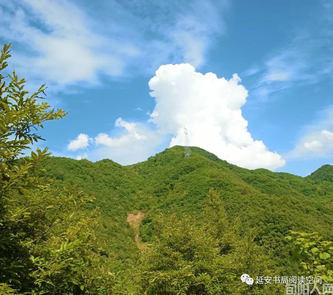 书因山而著 山因书而活    文/程根子