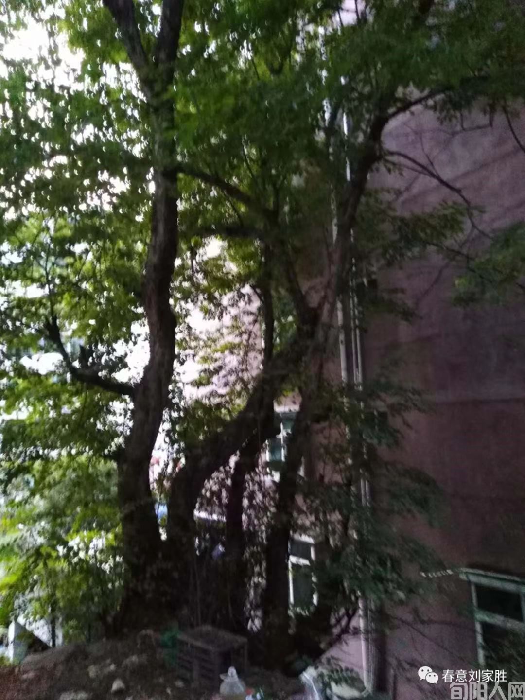 微信图片_20221202165431.jpg