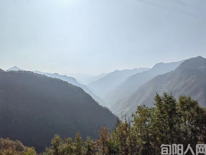 微信图片_20221119201521.jpg
