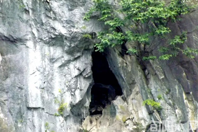 九仙洞   
