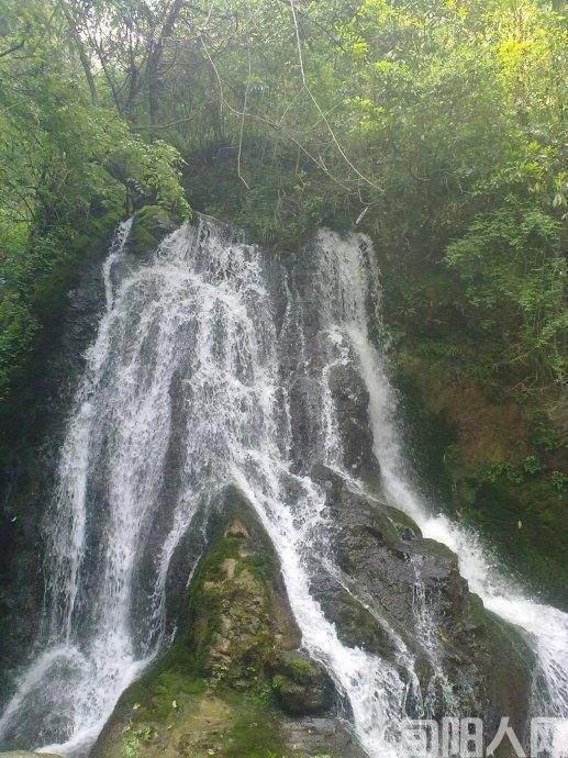 下载 (1).jpg