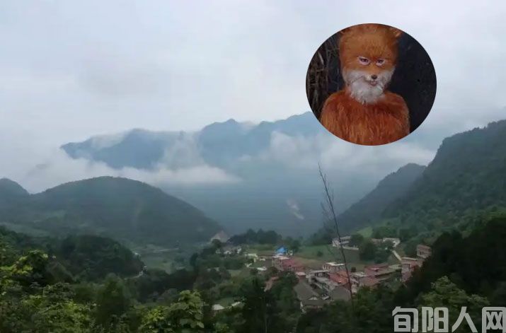微信图片_20230725212655.jpg