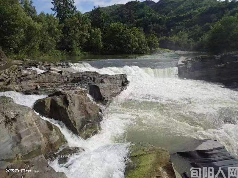 象鼻子照片02.jpg