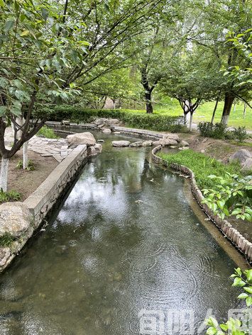 雨中.jpg
