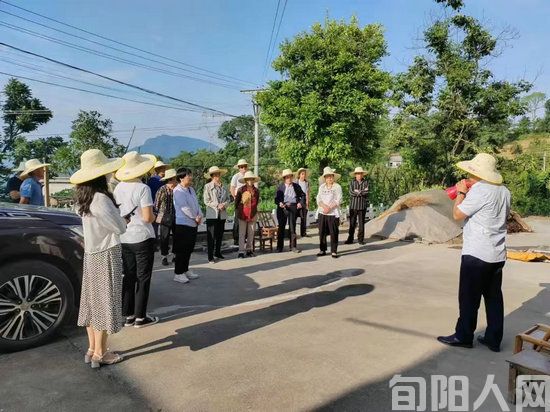 陕西旬阳城关镇：“小院宣讲”让法律知识“飞入寻常百姓家”