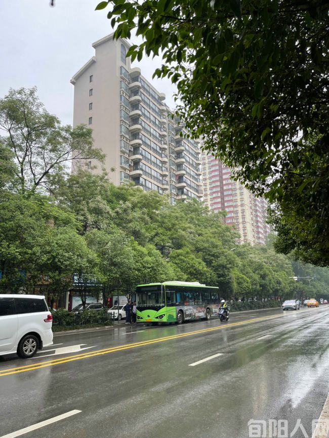 城市的雨.jpg