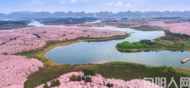 桃花岛03.jpg
