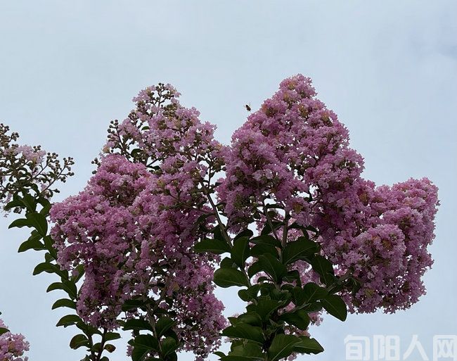 诗～远方       （诗三首）                            文/田雪阳