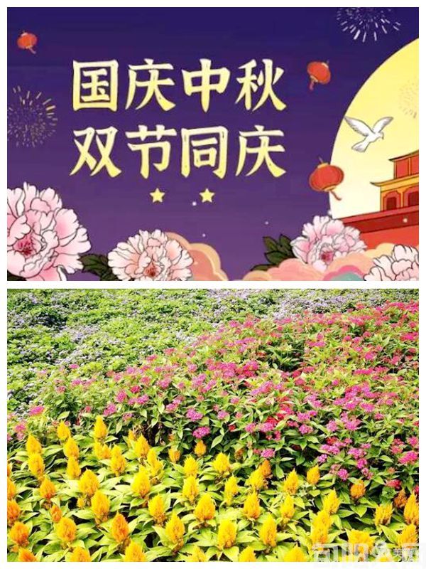 中秋.jpg