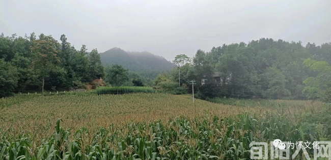 庙岭.png