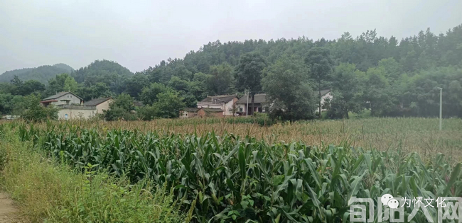 庙岭2.png