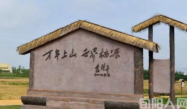 稻谷02.jpg