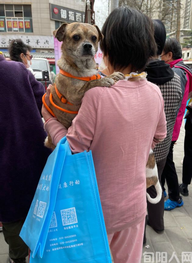 人与狗.jpg