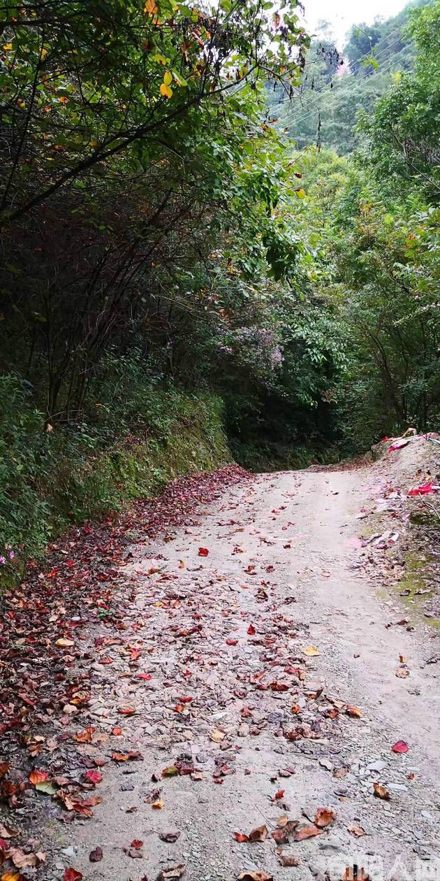 走路                                 文/李虎山(图2) 路02.jpg