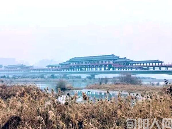 张03.jpg