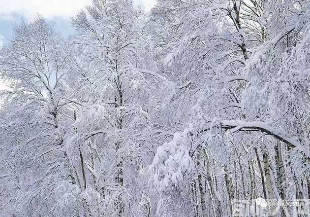 雪.png