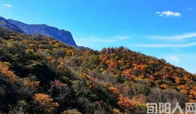 遇上好领导,是人生的福气          文/赵攀强(图1) 赵.jpg