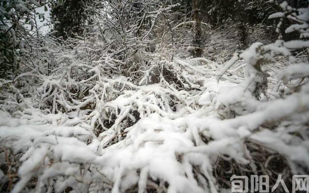 雪.jpg
