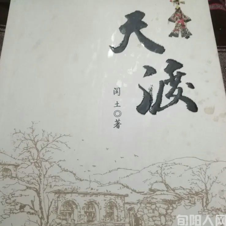 杨2.jpg