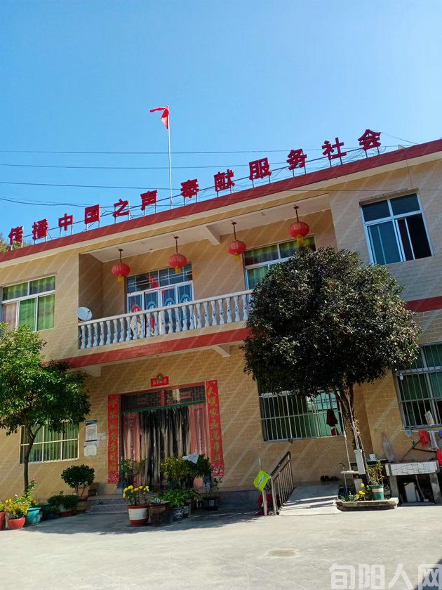 十里庙旁五指柏         文/冉平(图3) 黄.jpg