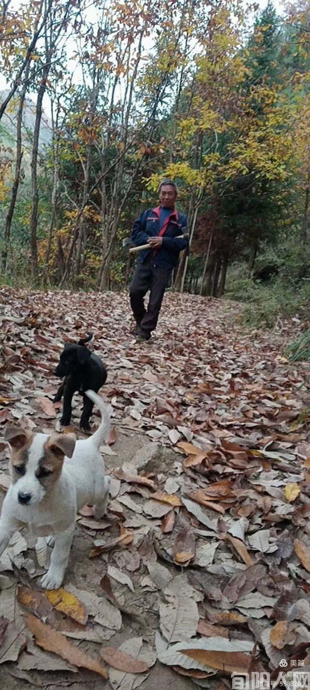 金水晚秋              文/郭明祥(图1) 村2.jpg