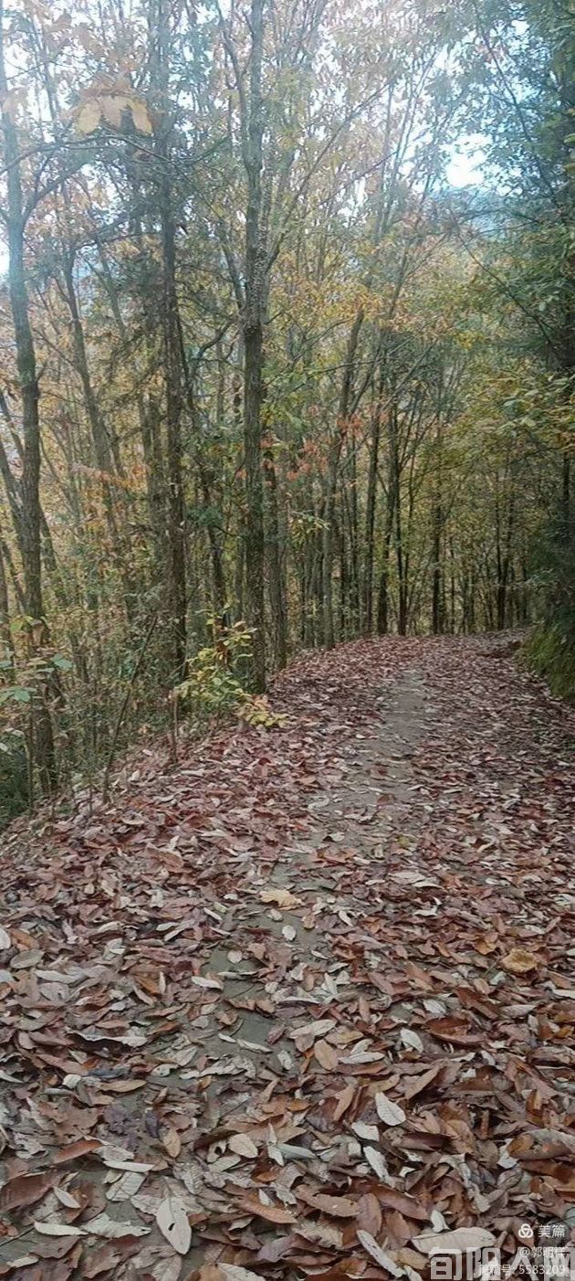 金水晚秋              文/郭明祥(图3) 村3.jpg