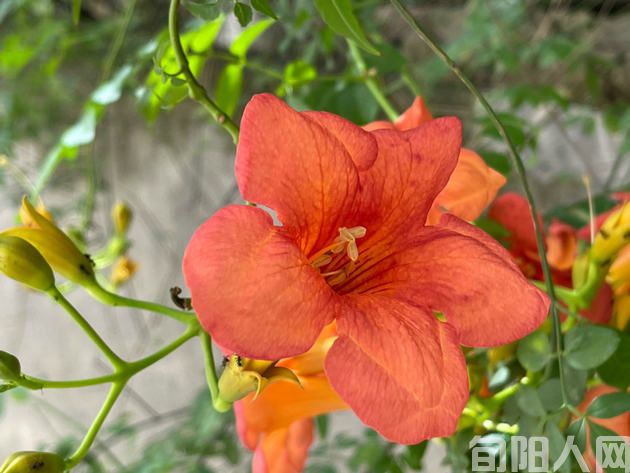 咏景四首                 文/吴丰田 (图1) 16.jpg