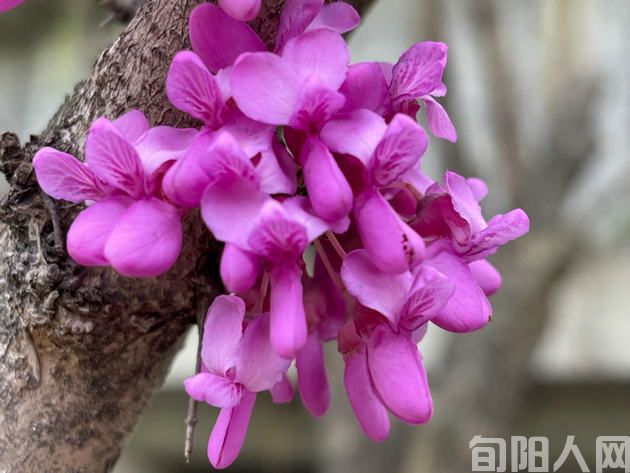 咏景二首                    文/吴丰田(图2) 19.jpg