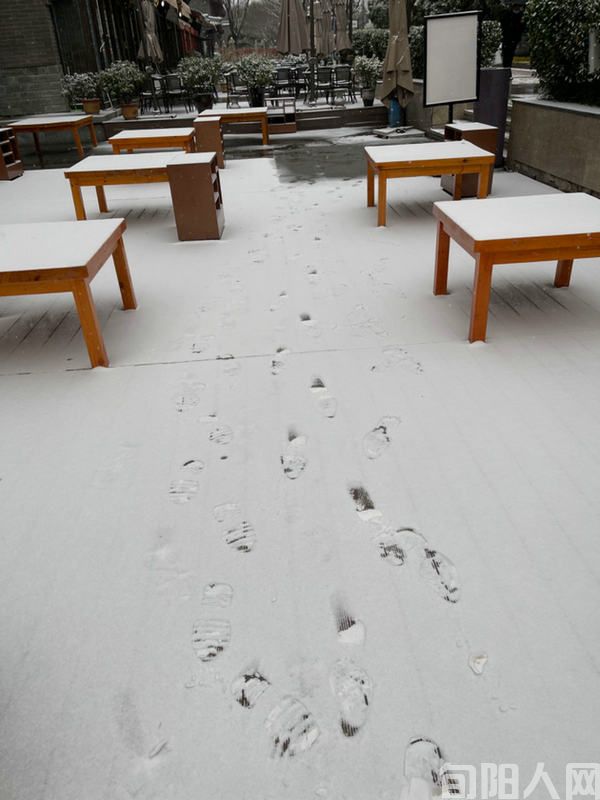雪2.jpg