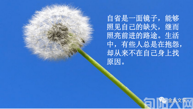 自省.png