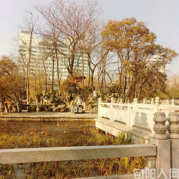 冬逢莲湖公园       文/郭明祥   《原创不易,抄袭必究》(图4) 莲湖公园5.jpg