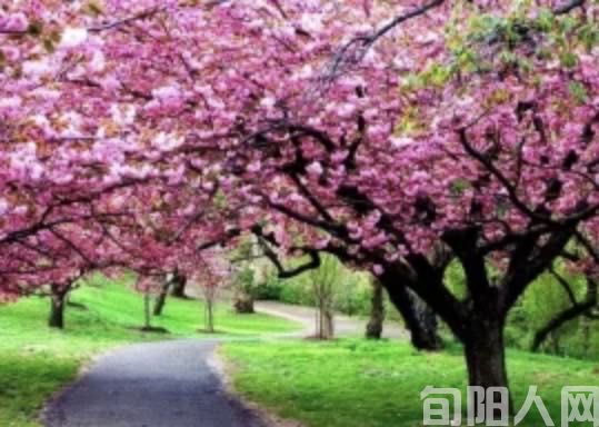 保护区长      文/任登庚(图2) 002.jpg