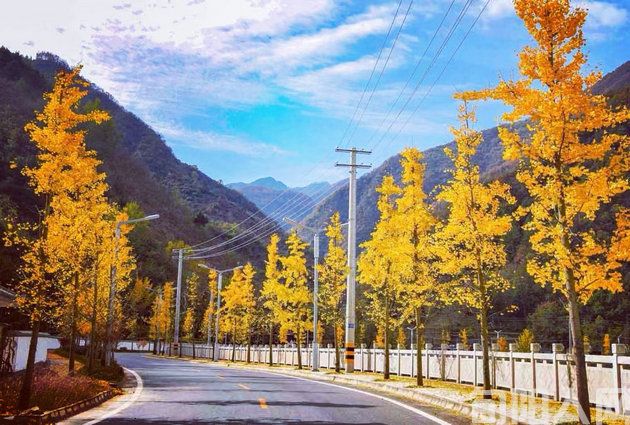 乡村里的生活智慧               文/张 勇(图1) 乡村.jpg