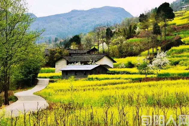 乡村里的生活智慧               文/张 勇(图2) 乡村2--1.jpg