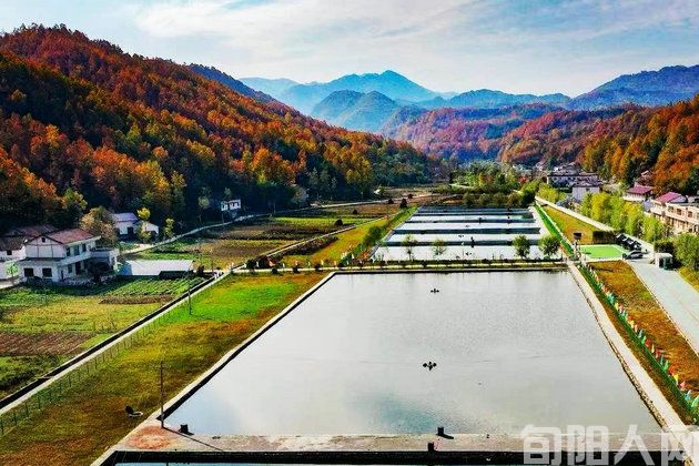 乡村里的生活智慧               文/张 勇(图4) 乡村5.jpg