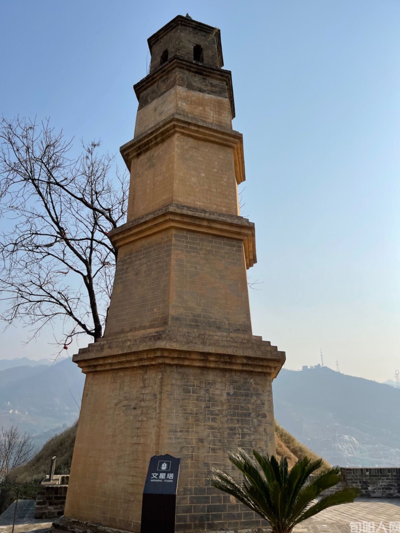 灵岩寺森林公园        文／张志琴