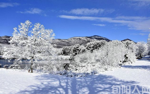 雪景2.jpg