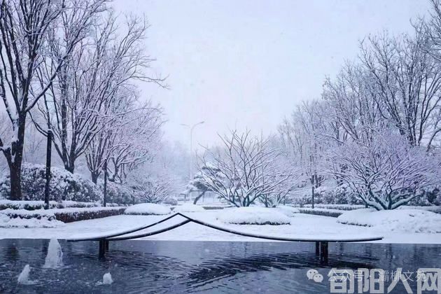 现代诗:柔情的雪       文/郝晓东(图1) 微信图片_20240117095942.jpg