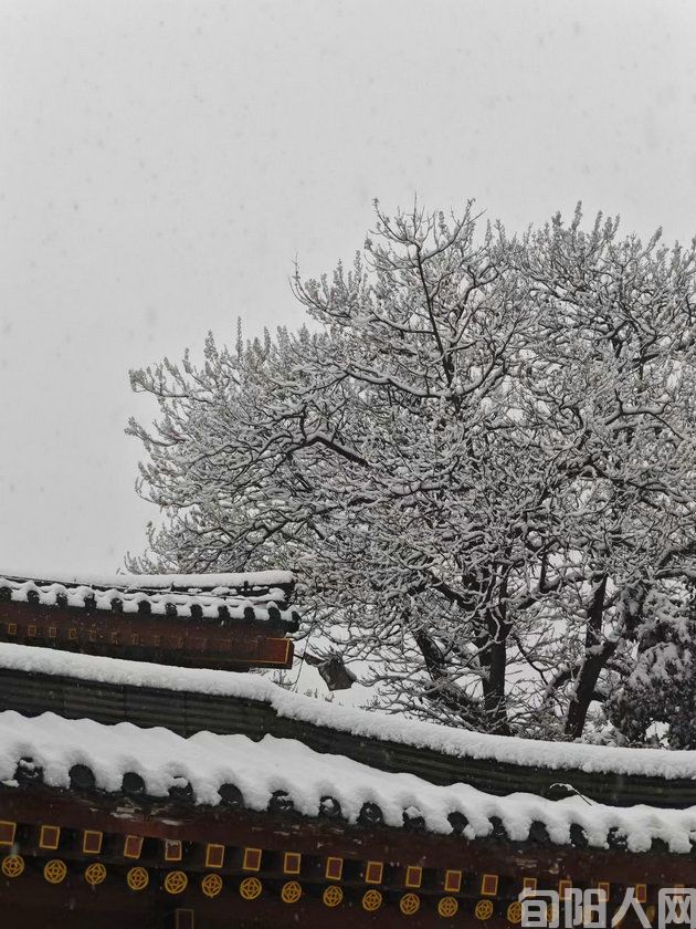 题商山雪景           文/李向宝(图1) 微信图片_20240117095959.jpg