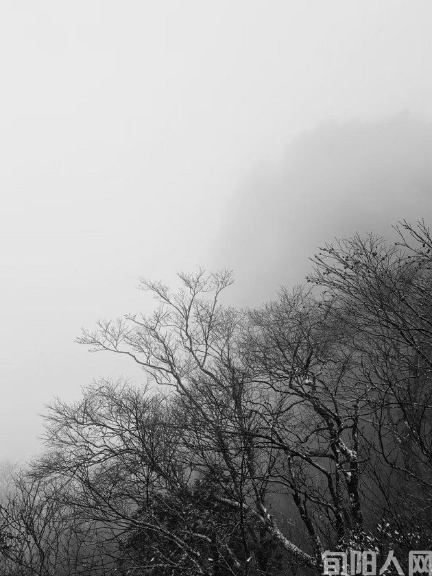 雪33.jpg
