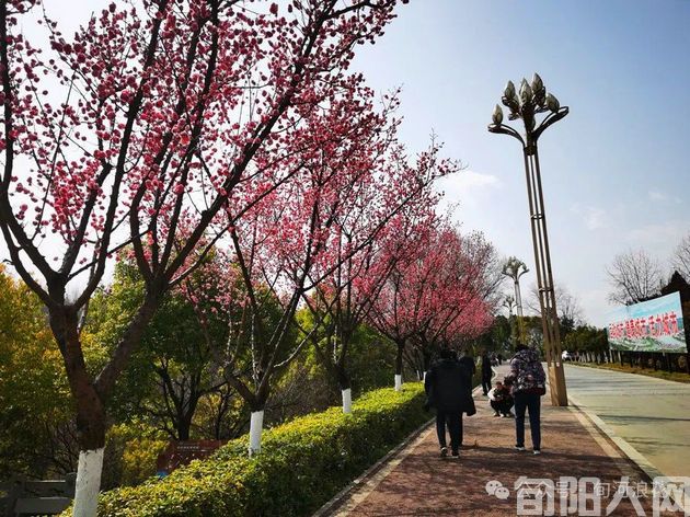 户外看春     文/赵攀强(图5) 5.jpg