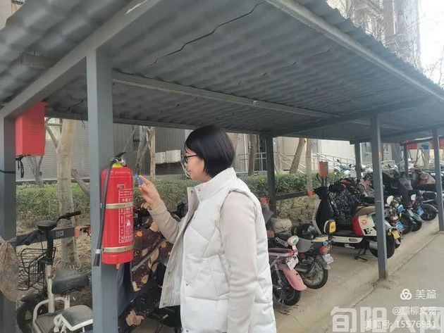 灞柳.jpg