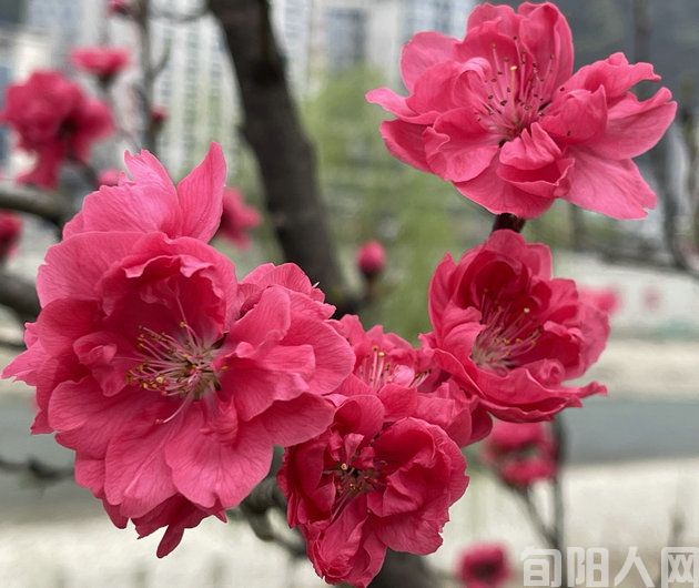 微信图片_20240316131822.jpg